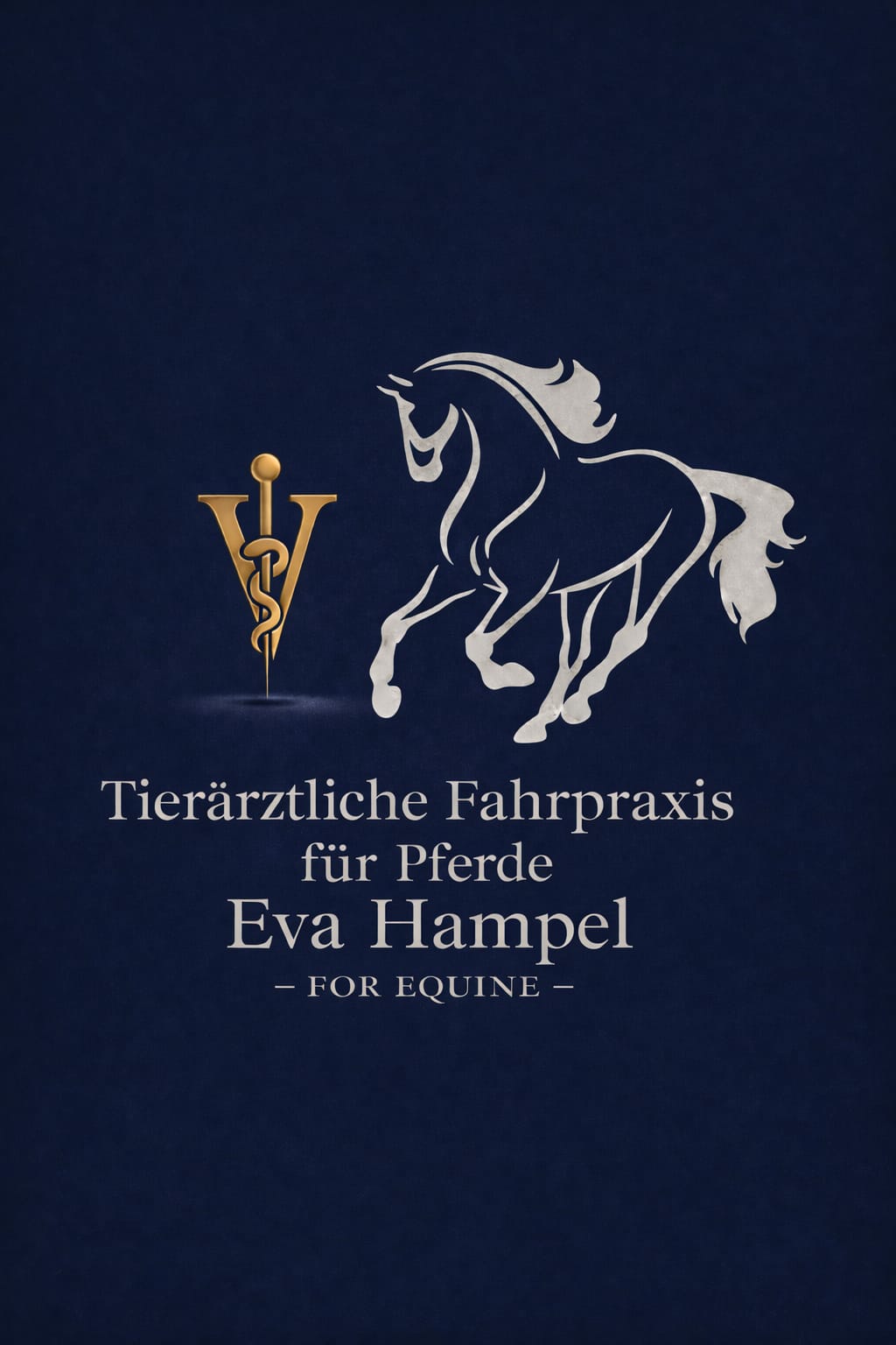 Tierärztliche Fahrpraxis für Pferde Eva Hampel - For Equine